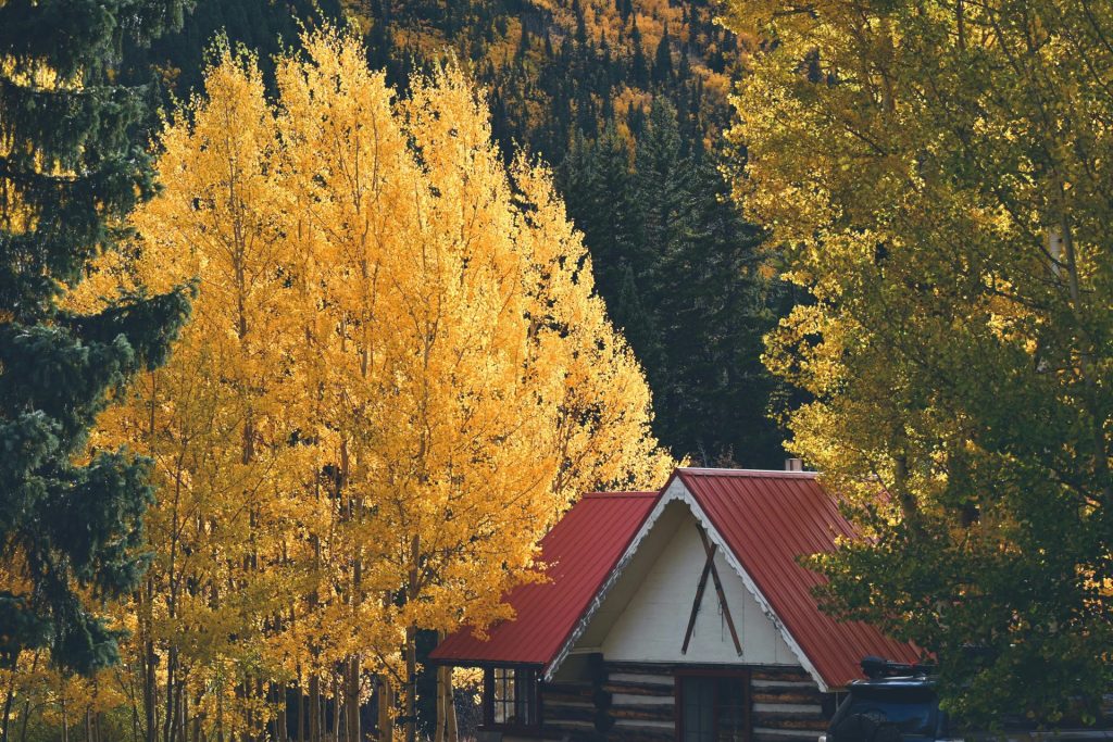 Small cabin nestled among autumn trees